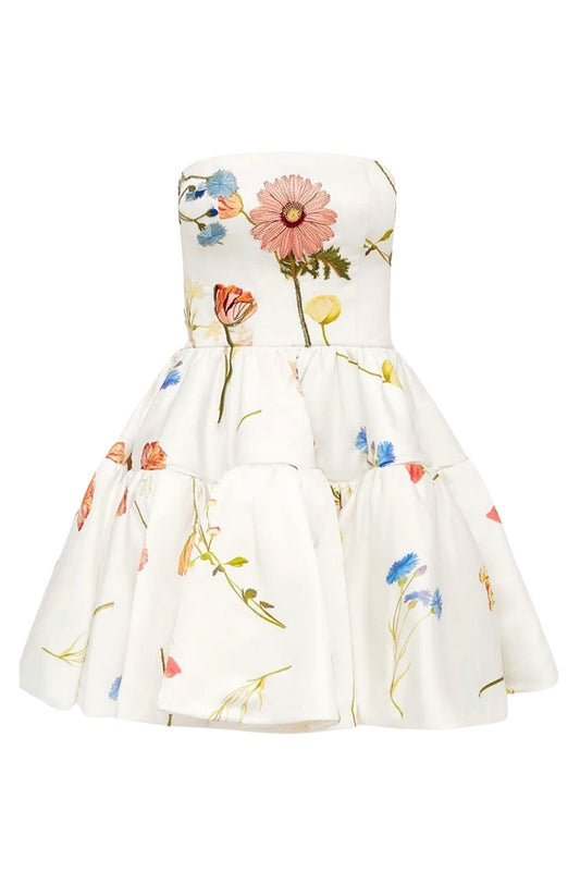 The Fields Embroidered Bustier Mini Dress