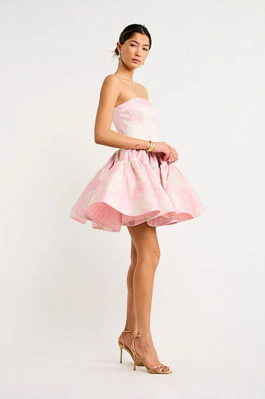 Skye Bustier Mini Dress