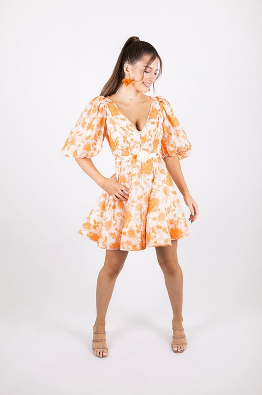 Postcard Puff Sleeve Mini Dress