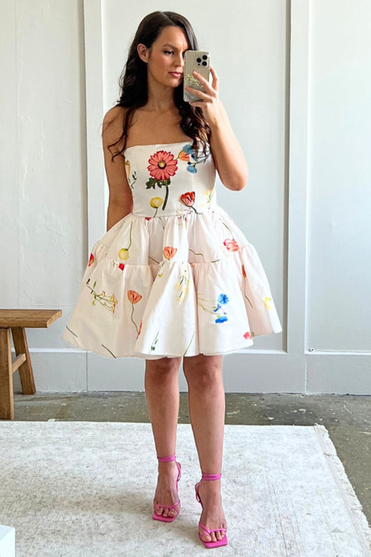 The Fields Embroidered Bustier Mini Dress