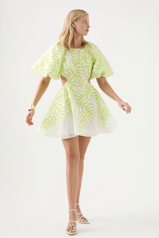 Botanical Applique Mini Dress