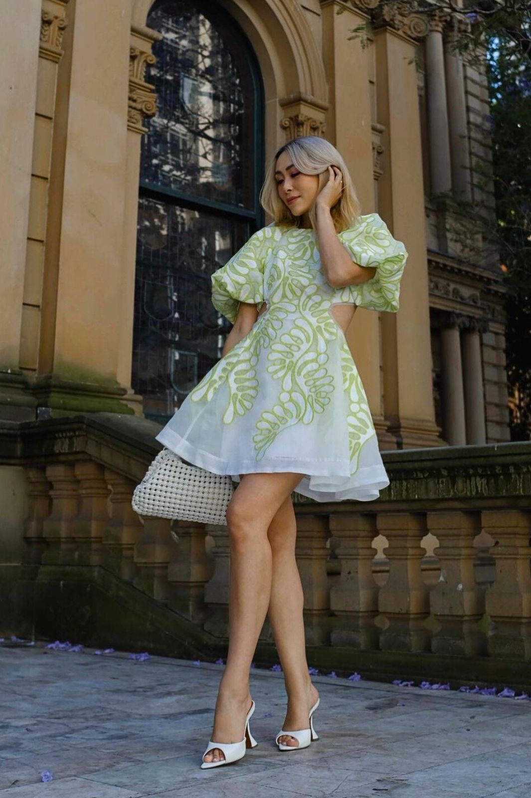 Botanical Applique Mini Dress