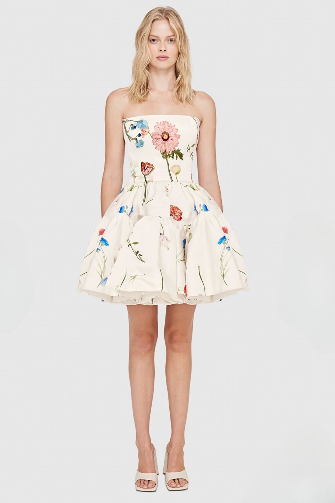 The Fields Embroidered Bustier Mini Dress